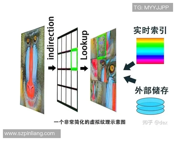 上海排球队灵活性分析与战术调整的深度探讨