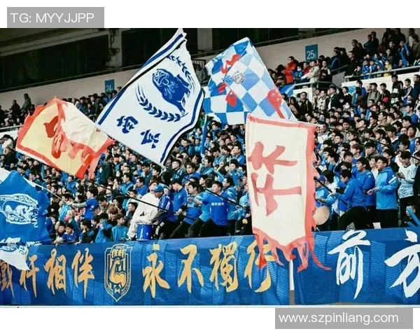 南京足球队阵地战分析:优劣势及未来发展方向探讨 南京足球队阵地战分析:优劣势及未来发展方向探讨