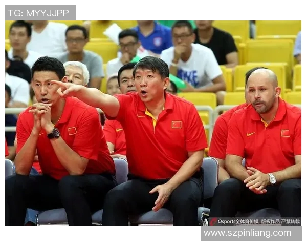 对话陈静：回顾辉煌排球生涯与未来展望的深度交流