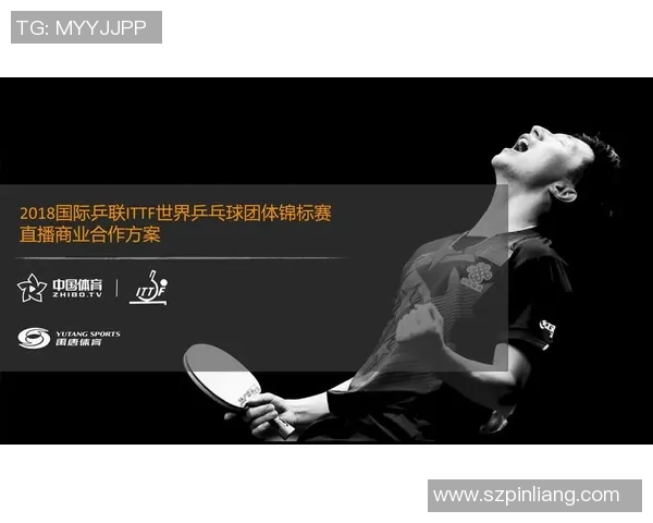 深度解析深圳乒乓球队团队协作的优势与挑战对比分析