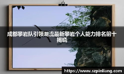 成都攀岩队引领潮流最新攀岩个人能力排名前十揭晓