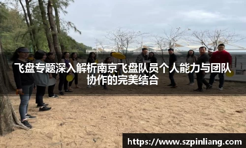 飞盘专题深入解析南京飞盘队员个人能力与团队协作的完美结合