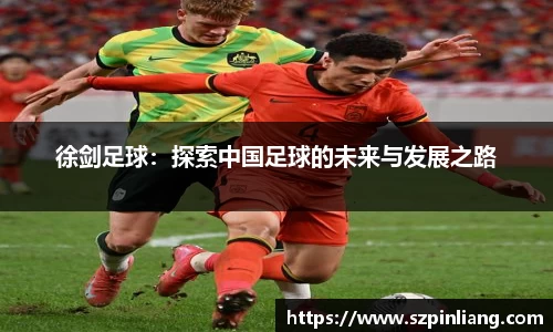 徐剑足球：探索中国足球的未来与发展之路